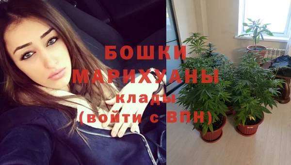 apvp Богородск